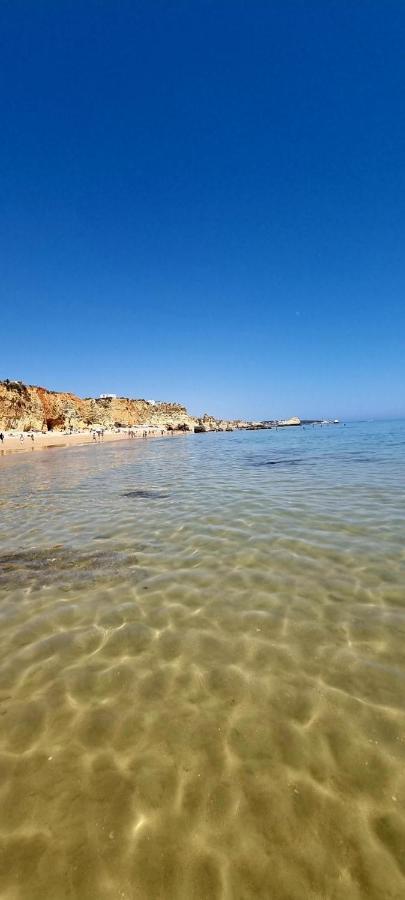 Praia Da Rocha Summer Beach Sea View بورتيماو المظهر الخارجي الصورة